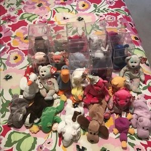 Beanie Baby Collection
